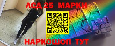 твердый Будённовск