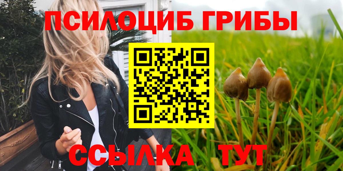 Крымск  Псилоцибиновые грибы Psilocybine cubensis  Вход с VPN 